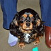 Rosie King Photo 45
