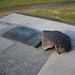 Joseph Quinlan Photo 36