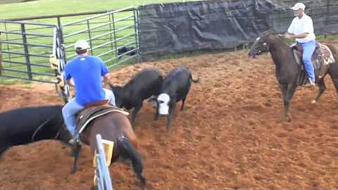 Betsy Buckner Photo 16