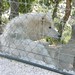 Jean Pena Photo 31