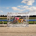 Andrew Blackwood Photo 40