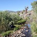 John Reinsch Photo 17