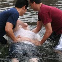 John Wiemers Photo 3