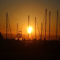 Lee Ernst Photo 9