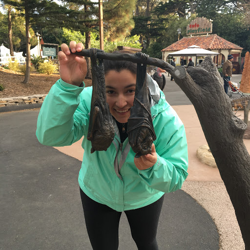 Cassandra Diaz Photo 10