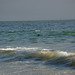 Jesse Seals Photo 33