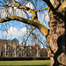 Clarence Ball Photo 31