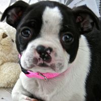 Tracy Franks Photo 8