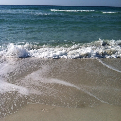 Claudia Stephens Photo 10