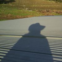 Ann Cavanaugh Photo 4