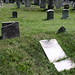 Joseph Cate Photo 29