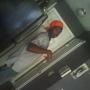 Reggie Blount Photo 13