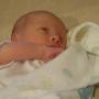 Daniel Duffield Photo 20