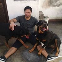 Cesar Andrade Photo 6