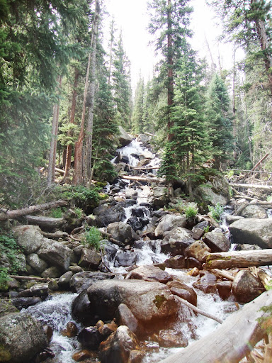 Jim Birmingham Photo 9