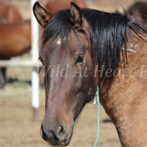 Cathy Burris Photo 11