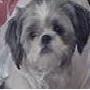 Sharon Pickett Photo 23