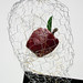 Stephen Carleton Photo 31