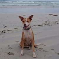 Hannah Lynch Photo 8