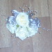 Daniel Topper Photo 29