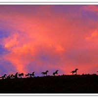 Brenda Fulcher Photo 3