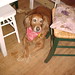 Annie Cross Photo 36