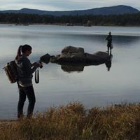 Stephen Bergquist Photo 5