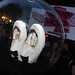 Gavin Johnston Photo 42