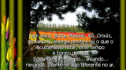 Vilma Duarte Photo 22