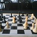 Joseph Chess Photo 23