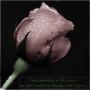 Mathew Varghese Photo 23