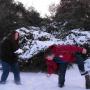 James Wylie Photo 32