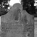 Elizabeth Dickson Photo 52