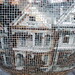 Alan Roth Photo 50
