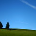 Barbara Evers Photo 29
