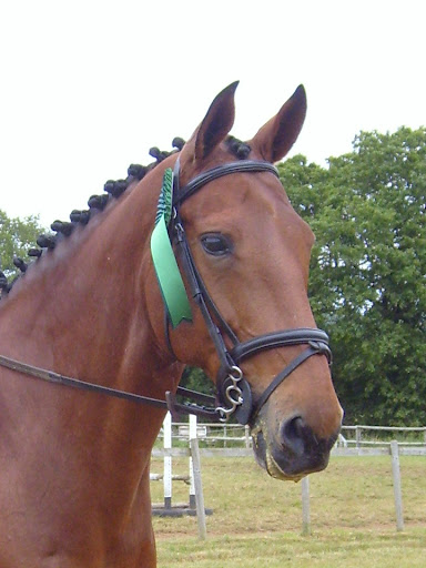 Samantha Owen Photo 16