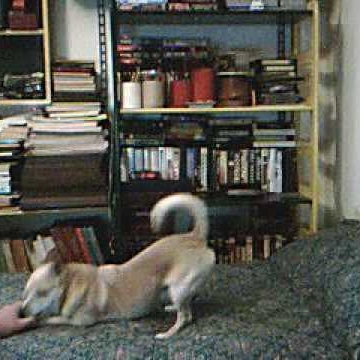 Norman Ross Photo 23