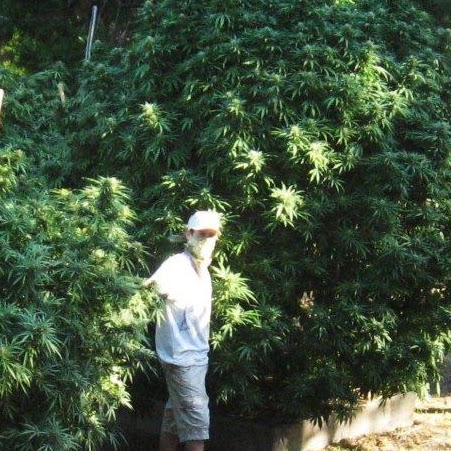 Mike Gardner Photo 13
