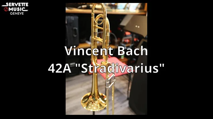 Vincent Urso Photo 9