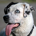 Lola Bell Photo 34