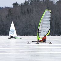 Terry Hayward Photo 6