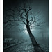 Ray Branch Photo 20
