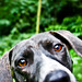 Allie Brown Photo 39