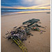 Dawn Ellis Photo 31