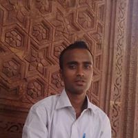 Satish Puri Photo 7