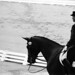 Christopher Hickey Photo 49