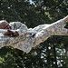 David Burba Photo 26