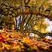 Autumn Conklin Photo 12
