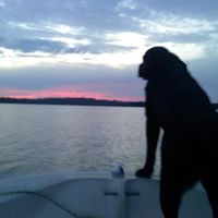 Chad Simmons Photo 5