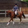 Jodie Reynolds Photo 19